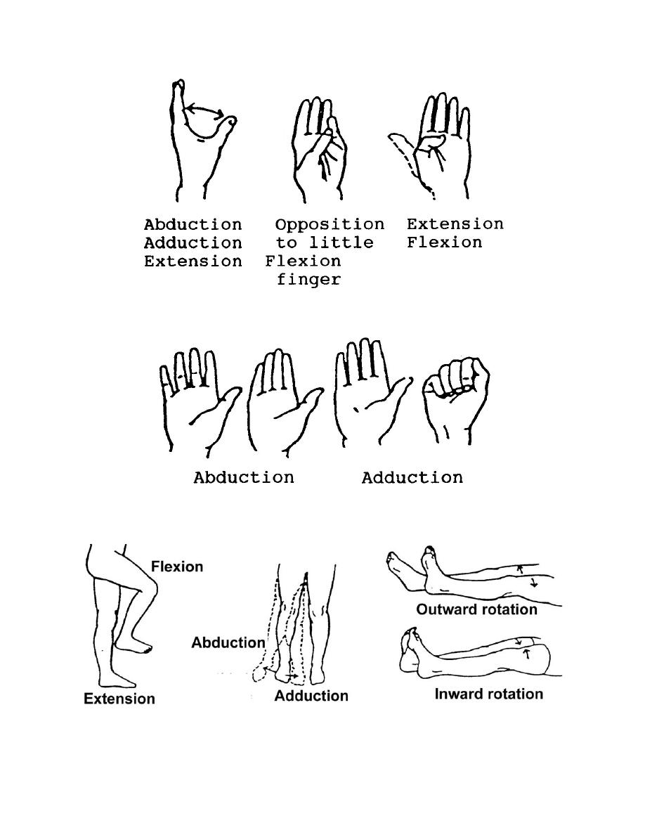 thumb range of motion exercises pdf